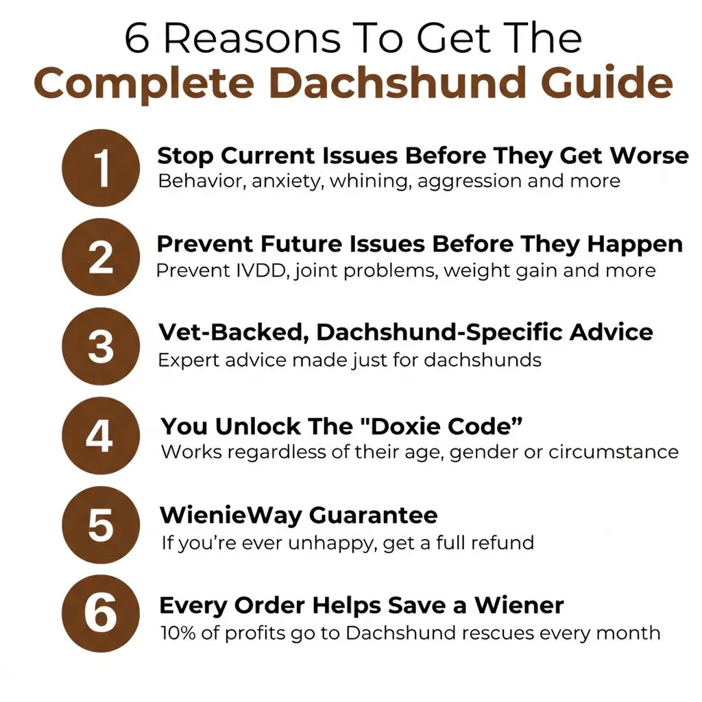 The Complete Dachshund Guide