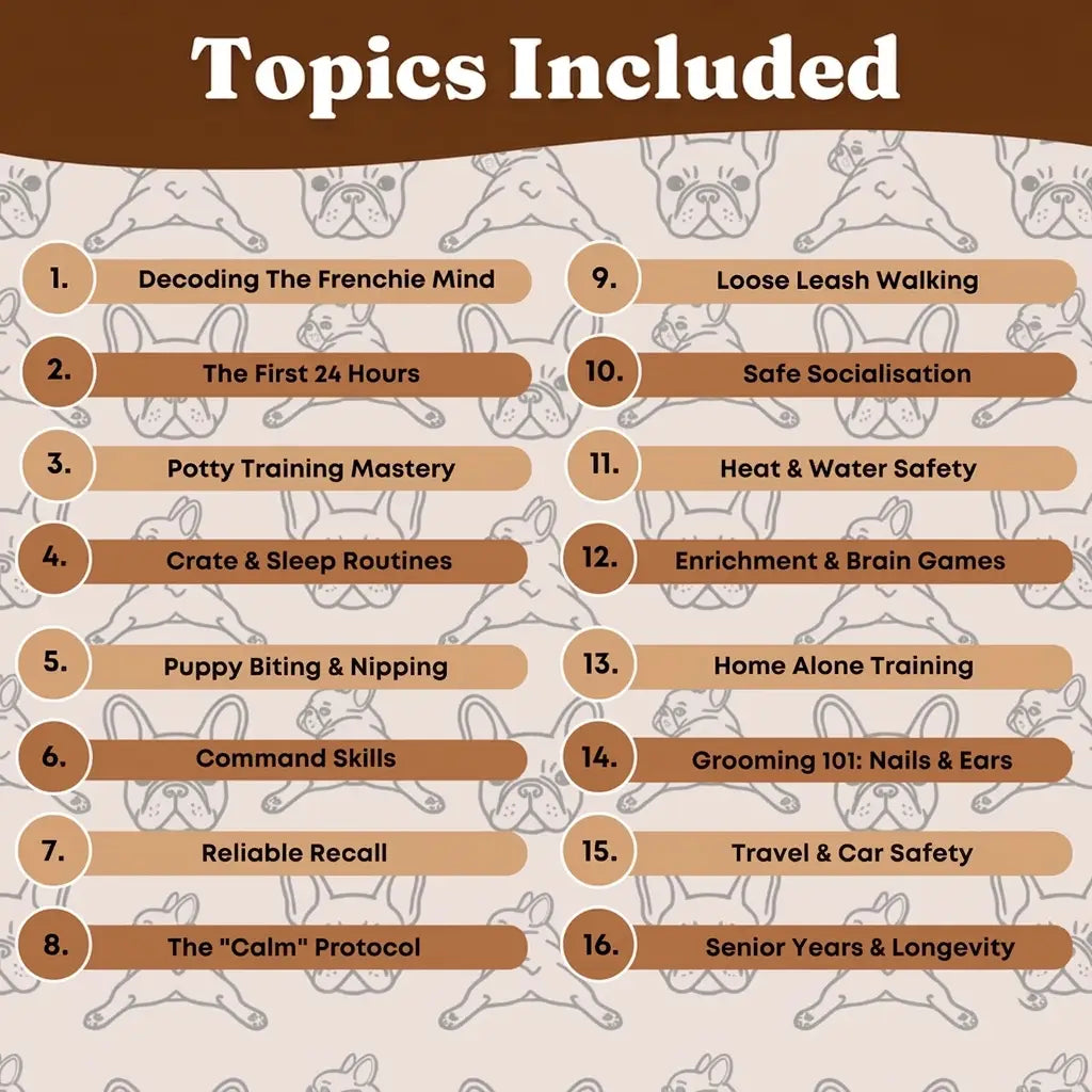 The Complete Frenchie Guide