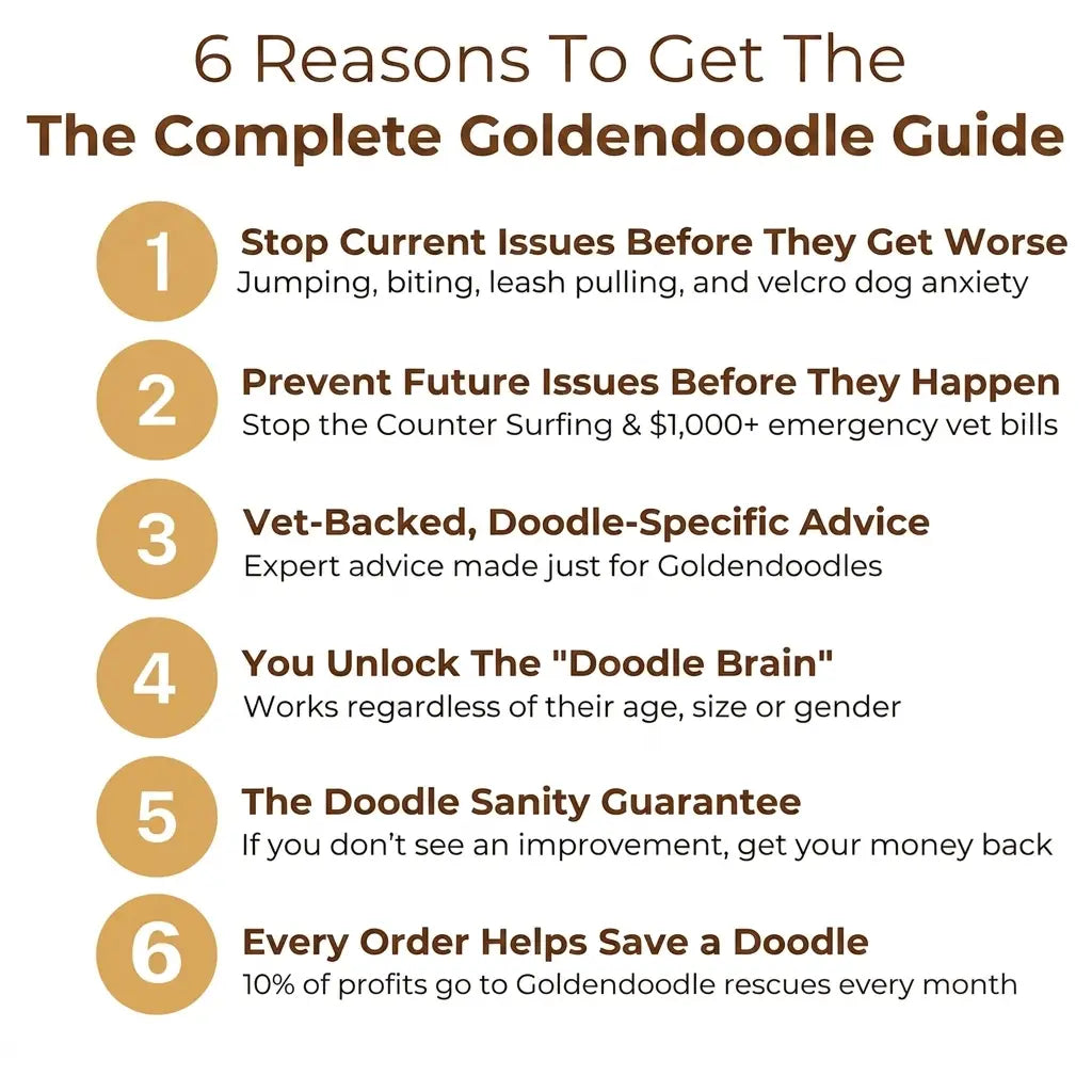 The Complete Goldendoodle Guide