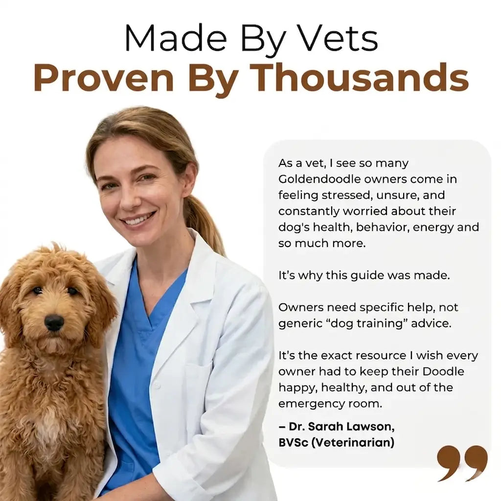 The Complete Goldendoodle Guide