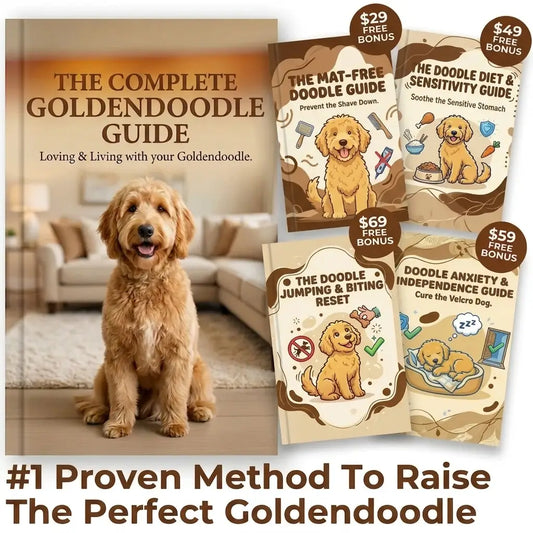 The Complete Goldendoodle Guide