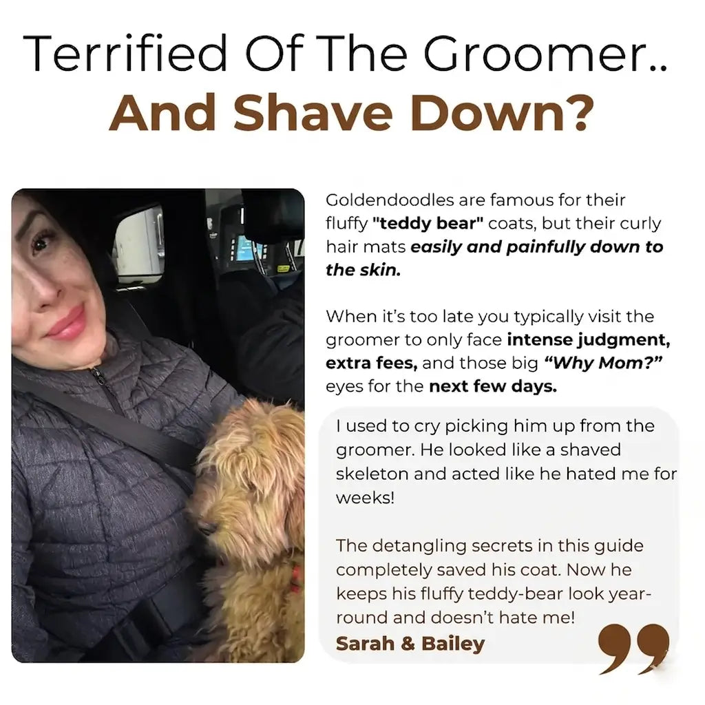 The Complete Goldendoodle Guide